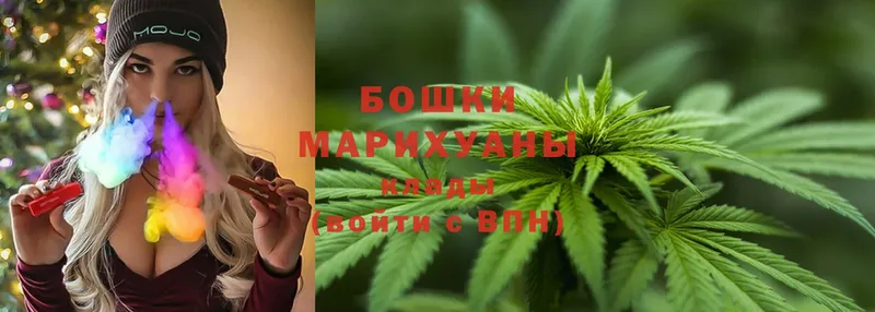 МАРИХУАНА SATIVA & INDICA  где купить   Болотное 